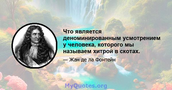 Что является деноминированным усмотрением у человека, которого мы называем хитрой в скотах.