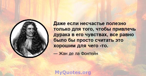 Даже если несчастье полезно только для того, чтобы привлечь дурака в его чувствах, все равно было бы просто считать это хорошим для чего -то.