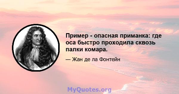 Пример - опасная приманка: где оса быстро проходила сквозь палки комара.