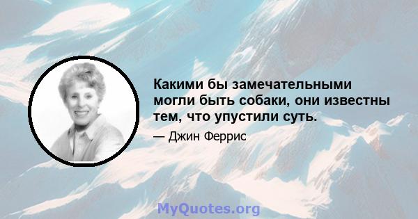 Какими бы замечательными могли быть собаки, они известны тем, что упустили суть.