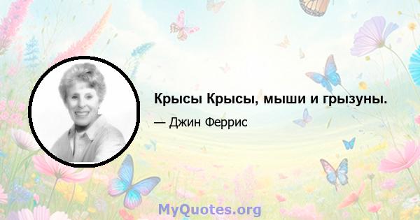 Крысы Крысы, мыши и грызуны.