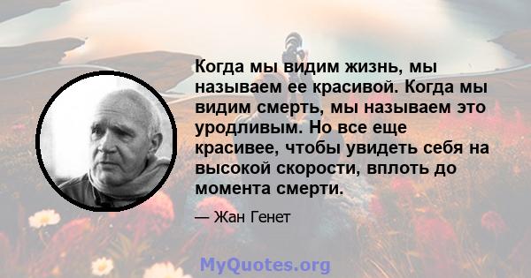 Когда мы видим жизнь, мы называем ее красивой. Когда мы видим смерть, мы называем это уродливым. Но все еще красивее, чтобы увидеть себя на высокой скорости, вплоть до момента смерти.