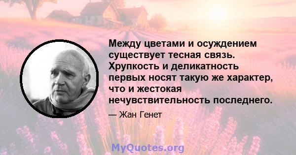 Между цветами и осуждением существует тесная связь. Хрупкость и деликатность первых носят такую ​​же характер, что и жестокая нечувствительность последнего.