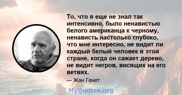 То, что я еще не знал так интенсивно, было ненавистью белого американца к черному, ненависть настолько глубоко, что мне интересно, не видит ли каждый белый человек в этой стране, когда он сажает дерево, не видит негров, 