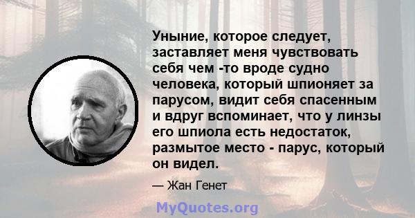 Уныние, которое следует, заставляет меня чувствовать себя чем -то вроде судно человека, который шпионяет за парусом, видит себя спасенным и вдруг вспоминает, что у линзы его шпиола есть недостаток, размытое место -