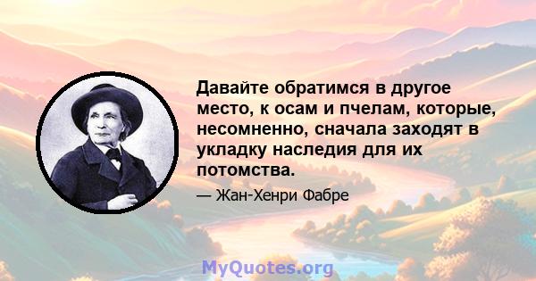 Давайте обратимся в другое место, к осам и пчелам, которые, несомненно, сначала заходят в укладку наследия для их потомства.