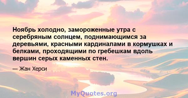 Ноябрь холодно, замороженные утра с серебряным солнцем, поднимающимся за деревьями, красными кардиналами в кормушках и белками, проходящими по гребешкам вдоль вершин серых каменных стен.