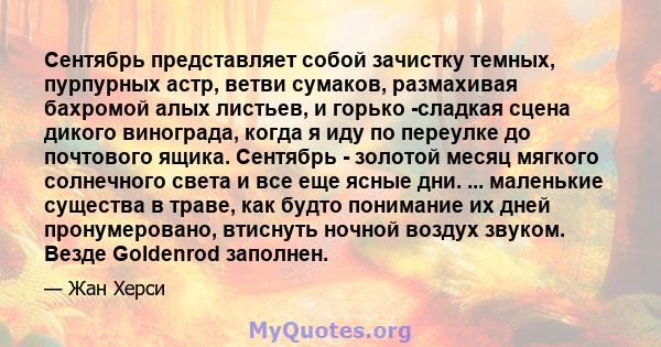 Сентябрь представляет собой зачистку темных, пурпурных астр, ветви сумаков, размахивая бахромой алых листьев, и горько -сладкая сцена дикого винограда, когда я иду по переулке до почтового ящика. Сентябрь - золотой