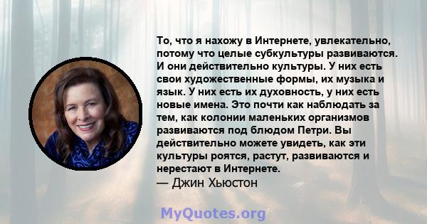 То, что я нахожу в Интернете, увлекательно, потому что целые субкультуры развиваются. И они действительно культуры. У них есть свои художественные формы, их музыка и язык. У них есть их духовность, у них есть новые