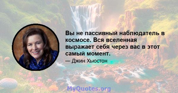 Вы не пассивный наблюдатель в космосе. Вся вселенная выражает себя через вас в этот самый момент.