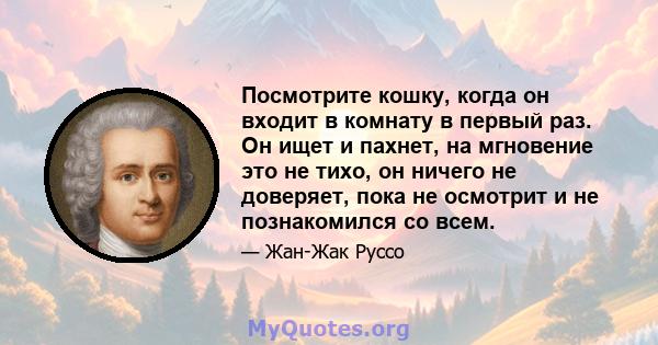 Посмотрите кошку, когда он входит в комнату в первый раз. Он ищет и пахнет, на мгновение это не тихо, он ничего не доверяет, пока не осмотрит и не познакомился со всем.