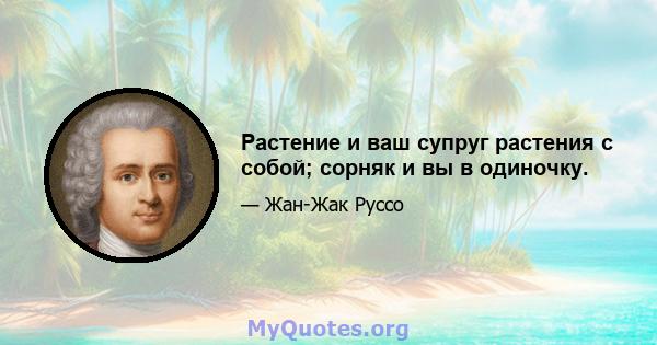 Растение и ваш супруг растения с собой; сорняк и вы в одиночку.