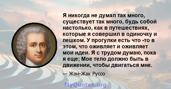 Я никогда не думал так много, существует так много, будь собой настолько, как в путешествиях, которые я совершил в одиночку и пешком. У прогулки есть что -то в этом, что оживляет и оживляет мои идеи. Я с трудом думаю,