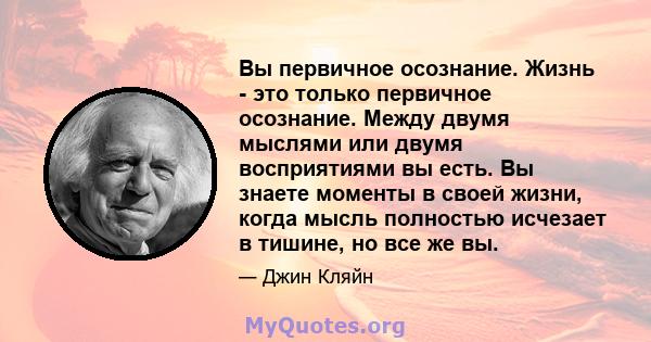 Вы первичное осознание. Жизнь - это только первичное осознание. Между двумя мыслями или двумя восприятиями вы есть. Вы знаете моменты в своей жизни, когда мысль полностью исчезает в тишине, но все же вы.