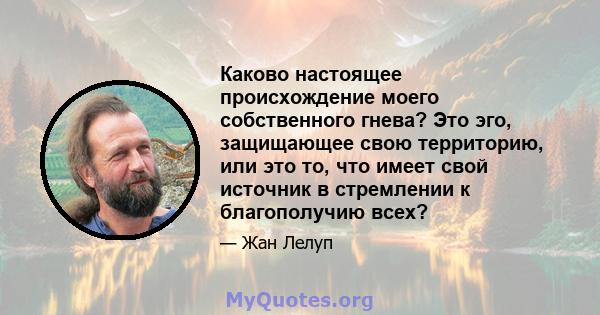 Каково настоящее происхождение моего собственного гнева? Это эго, защищающее свою территорию, или это то, что имеет свой источник в стремлении к благополучию всех?