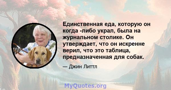 Единственная еда, которую он когда -либо украл, была на журнальном столике. Он утверждает, что он искренне верил, что это таблица, предназначенная для собак.