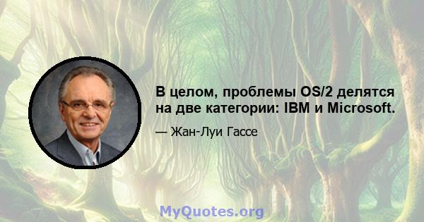 В целом, проблемы OS/2 делятся на две категории: IBM и Microsoft.