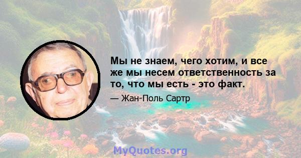 Мы не знаем, чего хотим, и все же мы несем ответственность за то, что мы есть - это факт.