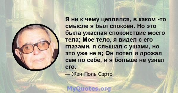 Я ни к чему цеплялся, в каком -то смысле я был спокоен. Но это была ужасная спокойствие моего тела; Мое тело, я видел с его глазами, я слышал с ушами, но это уже не я; Он потел и дрожал сам по себе, и я больше не узнал