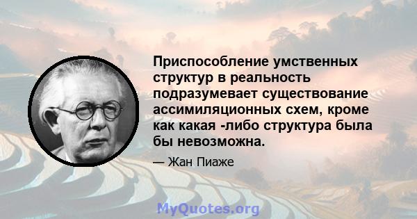 Приспособление умственных структур в реальность подразумевает существование ассимиляционных схем, кроме как какая -либо структура была бы невозможна.