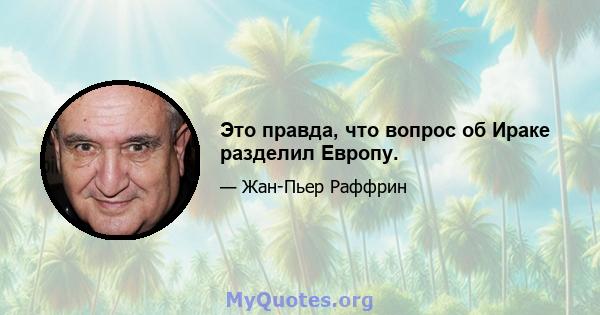 Это правда, что вопрос об Ираке разделил Европу.