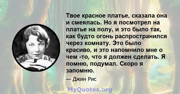 Твое красное платье, сказала она и смеялась. Но я посмотрел на платье на полу, и это было так, как будто огонь распространился через комнату. Это было красиво, и это напомнило мне о чем -то, что я должен сделать. Я