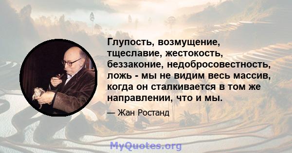 Глупость, возмущение, тщеславие, жестокость, беззаконие, недобросовестность, ложь - мы не видим весь массив, когда он сталкивается в том же направлении, что и мы.