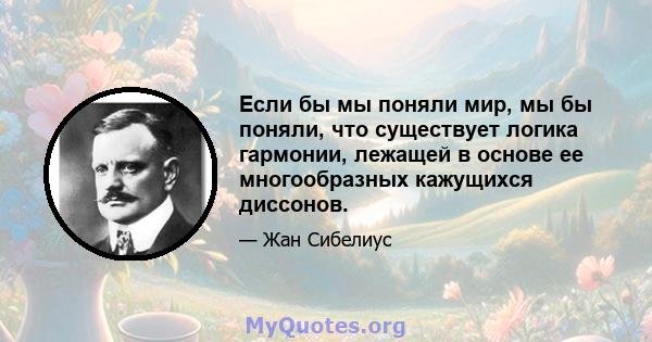 Если бы мы поняли мир, мы бы поняли, что существует логика гармонии, лежащей в основе ее многообразных кажущихся диссонов.