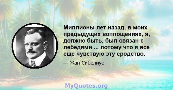 Миллионы лет назад, в моих предыдущих воплощениях, я, должно быть, был связан с лебедями ... потому что я все еще чувствую эту сродство.