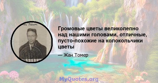 Громовые цветы великолепно над нашими головами, отличные, пусто-похожие на колокольчики цветы