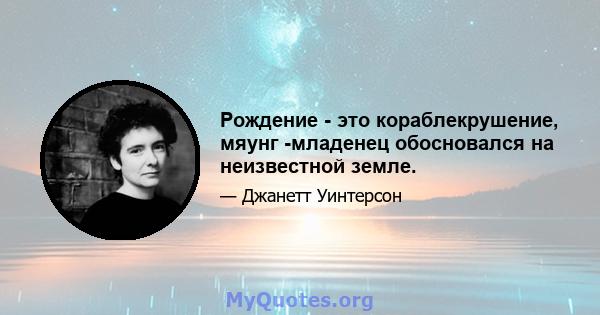 Рождение - это кораблекрушение, мяунг -младенец обосновался на неизвестной земле.