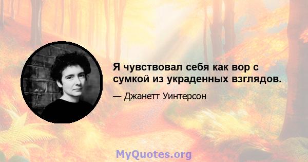 Я чувствовал себя как вор с сумкой из украденных взглядов.