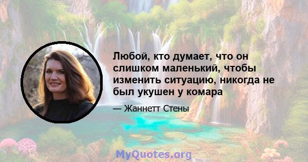 Любой, кто думает, что он слишком маленький, чтобы изменить ситуацию, никогда не был укушен у комара