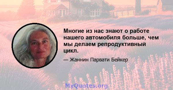 Многие из нас знают о работе нашего автомобиля больше, чем мы делаем репродуктивный цикл.