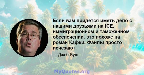 Если вам придется иметь дело с нашими друзьями на ICE, иммиграционном и таможенном обеспечении, это похоже на роман Кафки. Файлы просто исчезают.