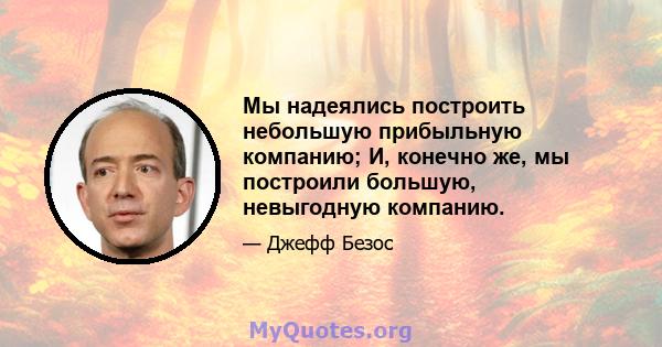 Мы надеялись построить небольшую прибыльную компанию; И, конечно же, мы построили большую, невыгодную компанию.