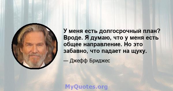 У меня есть долгосрочный план? Вроде. Я думаю, что у меня есть общее направление. Но это забавно, что падает на щуку.