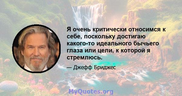 Я очень критически относимся к себе, поскольку достигаю какого-то идеального бычьего глаза или цели, к которой я стремлюсь.