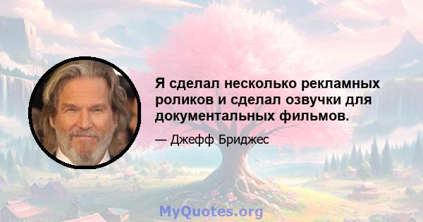 Я сделал несколько рекламных роликов и сделал озвучки для документальных фильмов.