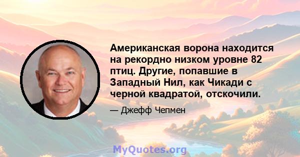 Американская ворона находится на рекордно низком уровне 82 птиц. Другие, попавшие в Западный Нил, как Чикади с черной квадратой, отскочили.