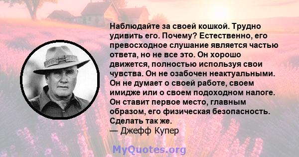 Наблюдайте за своей кошкой. Трудно удивить его. Почему? Естественно, его превосходное слушание является частью ответа, но не все это. Он хорошо движется, полностью используя свои чувства. Он не озабочен неактуальными.