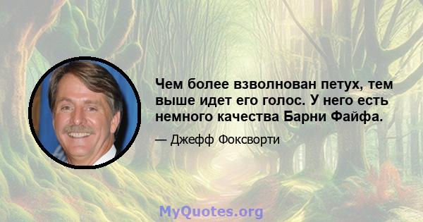 Чем более взволнован петух, тем выше идет его голос. У него есть немного качества Барни Файфа.