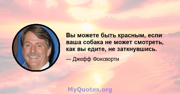 Вы можете быть красным, если ваша собака не может смотреть, как вы едите, не заткнувшись.