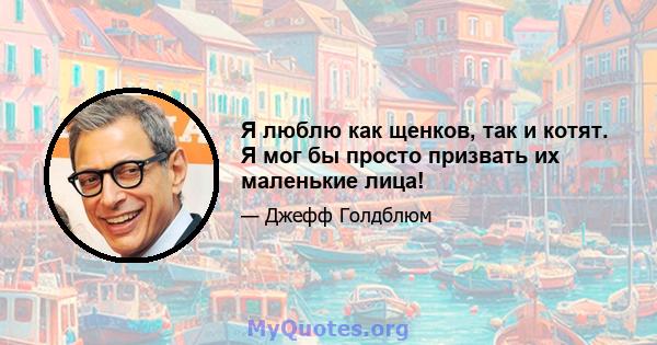 Я люблю как щенков, так и котят. Я мог бы просто призвать их маленькие лица!