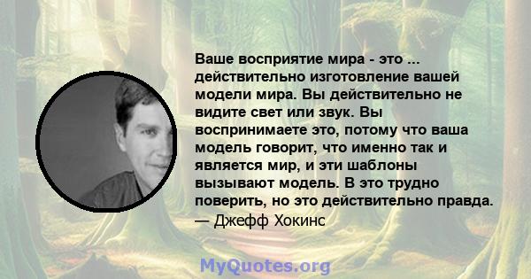 Ваше восприятие мира - это ... действительно изготовление вашей модели мира. Вы действительно не видите свет или звук. Вы воспринимаете это, потому что ваша модель говорит, что именно так и является мир, и эти шаблоны