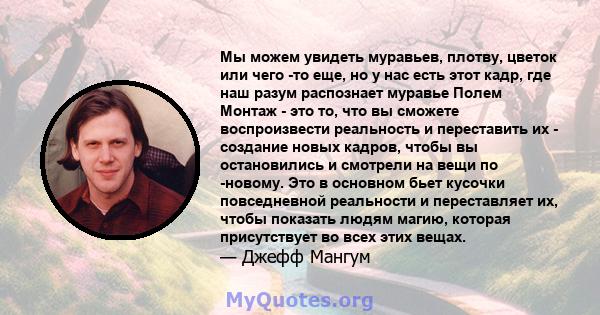 Мы можем увидеть муравьев, плотву, цветок или чего -то еще, но у нас есть этот кадр, где наш разум распознает муравье Полем Монтаж - это то, что вы сможете воспроизвести реальность и переставить их - создание новых