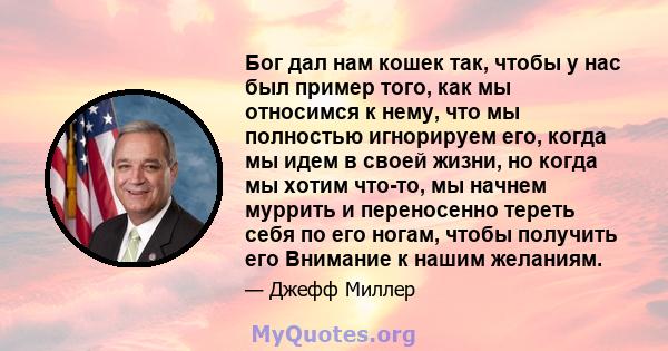 Бог дал нам кошек так, чтобы у нас был пример того, как мы относимся к нему, что мы полностью игнорируем его, когда мы идем в своей жизни, но когда мы хотим что-то, мы начнем муррить и переносенно тереть себя по его