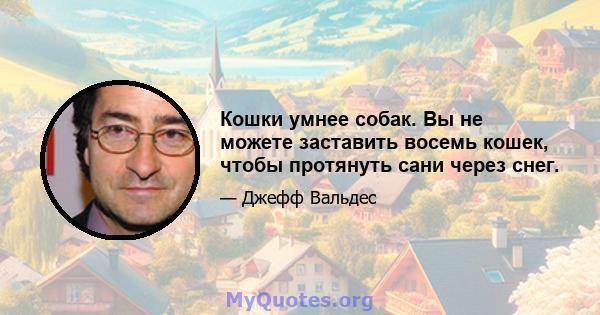 Кошки умнее собак. Вы не можете заставить восемь кошек, чтобы протянуть сани через снег.