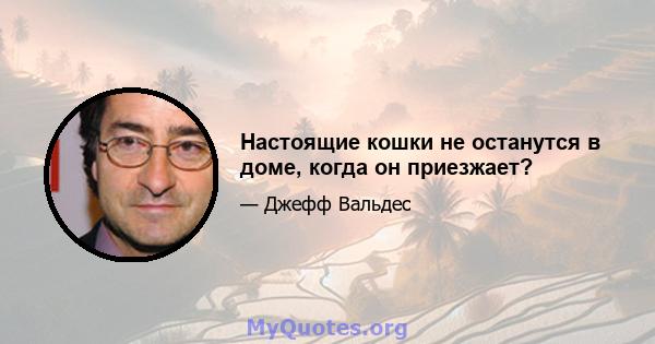 Настоящие кошки не останутся в доме, когда он приезжает?