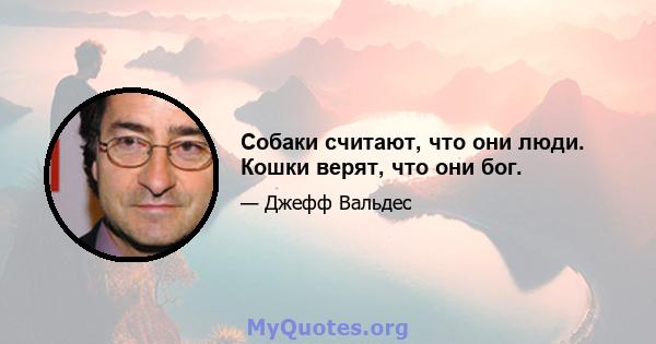 Собаки считают, что они люди. Кошки верят, что они бог.